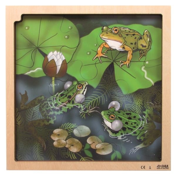 Image sur Puzzle Le cycle de la vie de la grenouille